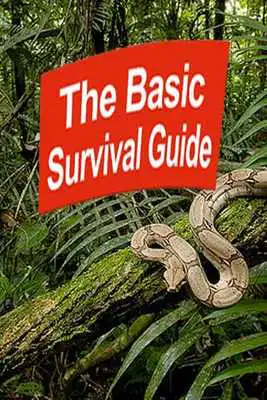 Play Basic Survival Needs