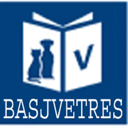 Play basjvet APK