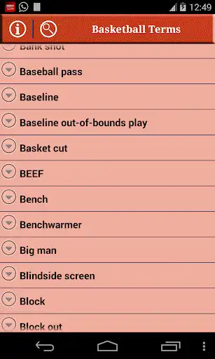 Play Basketball Terms as an online game Basketball Terms with UptoPlay