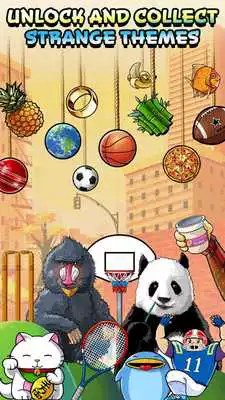 Play Basket Fall