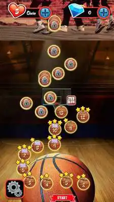 Play basket match