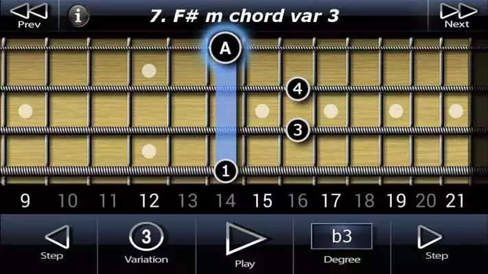 Play Bass Chords LE Play Bass Chords LE
