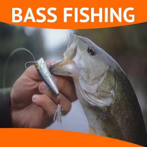 Free play online Bass Fishing Tips ! APK