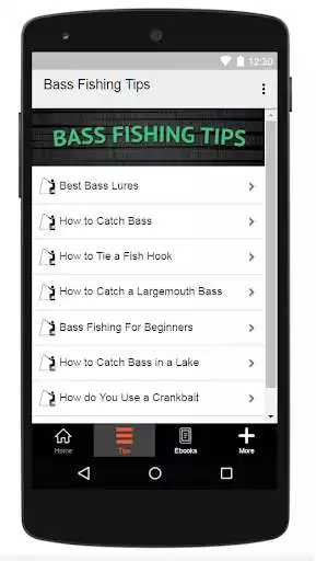 Play Bass Fishing Tips !
