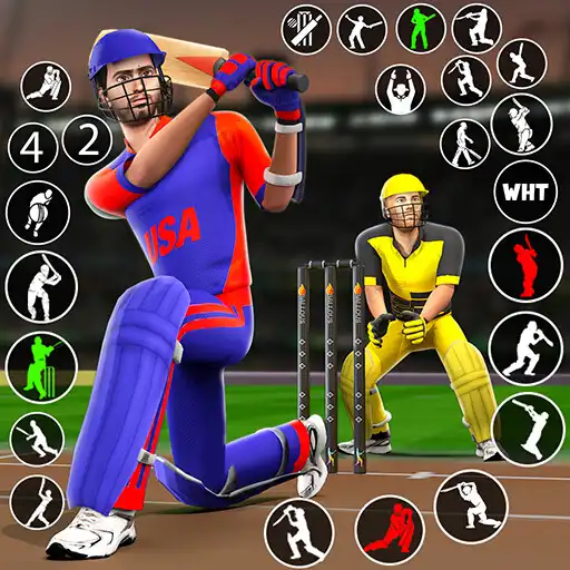 Play Bat  Ball: Play Cricket Games APK