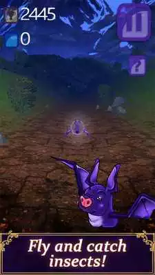 Play Bat Dinner Time 3D