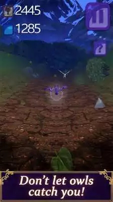 Play Bat Dinner Time 3D