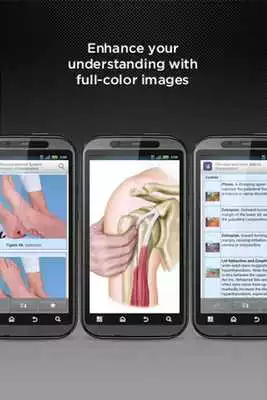 Play Bates Physical Examination Play Bates Physical Examination