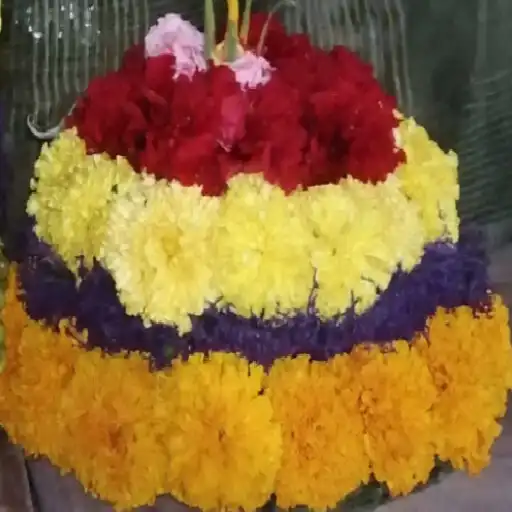 Play Bathukamma Paatalu APK