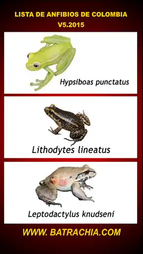 Play Batrachia and enjoy Batrachia with UptoPlay Play Batrachia and enjoy Batrachia with UptoPlay