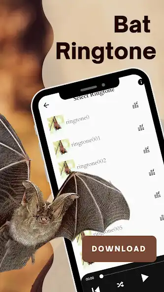 Play Bat ringtone and enjoy Bat ringtone with UptoPlay Play Bat ringtone and enjoy Bat ringtone with UptoPlay