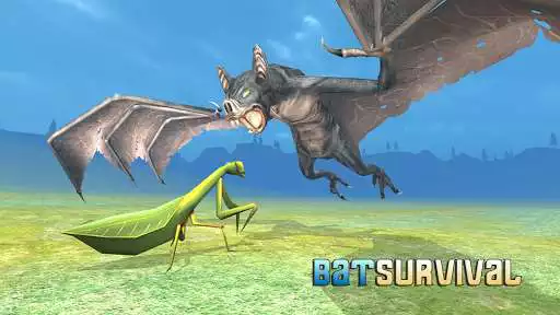 Play Bat Simulator  and enjoy Bat Simulator with UptoPlay