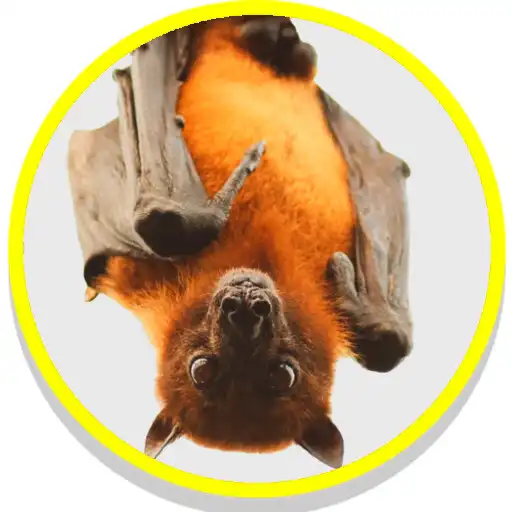Play Bats Sounds APK Play Bats Sounds APK