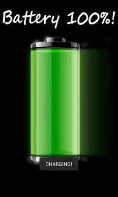 Play Battery Charger