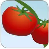 Free play online BatteryWidgetTomato APK