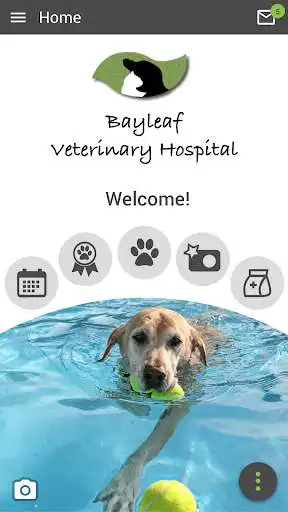 Play Bayleaf Vet  and enjoy Bayleaf Vet with UptoPlay