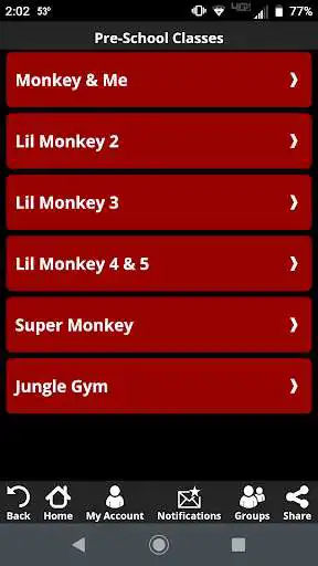 Play Bayshore Elite Gymnastics
