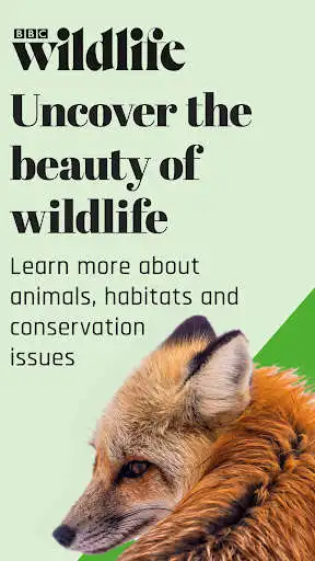 Play BBC Wildlife Magazine  and enjoy BBC Wildlife Magazine with UptoPlay