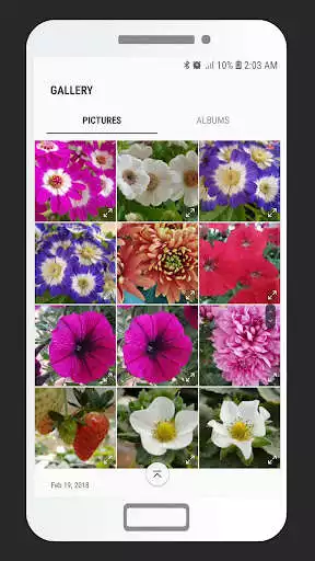 Play BBlur - Image blur background DSLR effect as an online game BBlur - Image blur background DSLR effect with UptoPlay