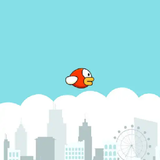 Play bbok bird APK Play bbok bird APK
