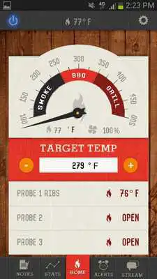 Play BBQ Remote