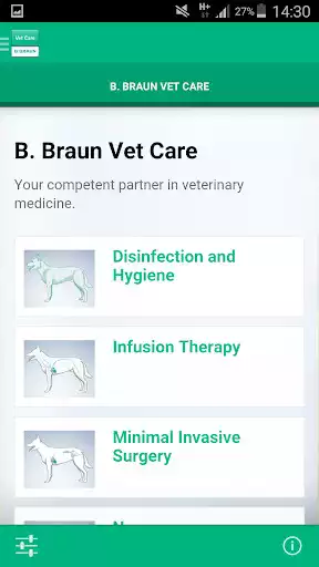 Play B. Braun Vet Care