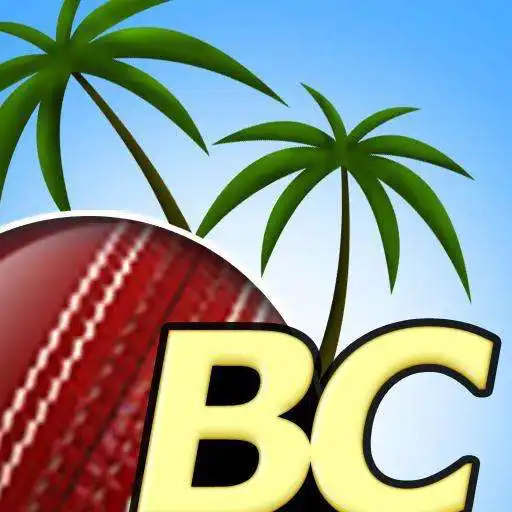 Free play online Beach Cricket Pro  APK