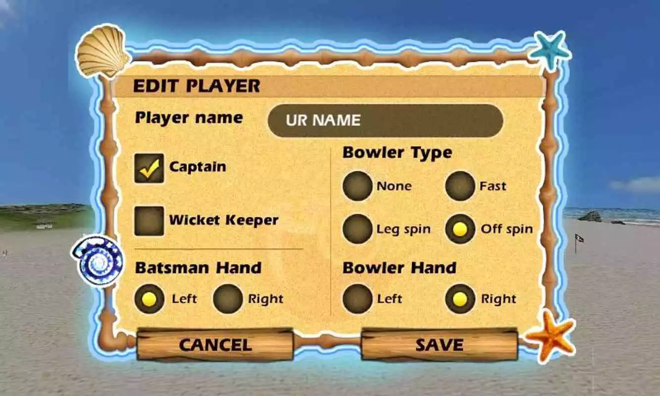 Play Beach Cricket