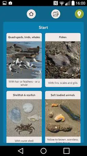Play Beach Explorer - Wadden Sea as an online game Beach Explorer - Wadden Sea with UptoPlay