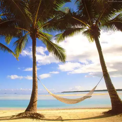 Run free android online Beach Free Live Wallpaper APK Run free android online Beach Free Live Wallpaper APK