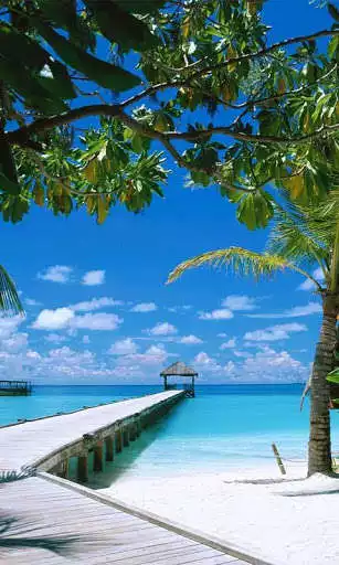 Play APK Beach Free Live Wallpaper  and enjoy Beach Free Live Wallpaper with UptoPlay com.free.beach.livewallpaper