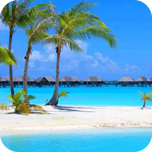 Play Beach Full HD Wallpaper APK
