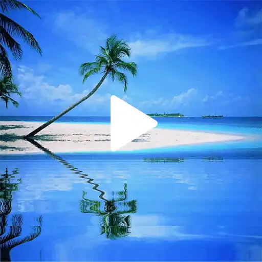 Play Beach GIF Wallpaper APK