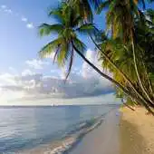 Free play online Beach HD APK Free play online Beach HD APK