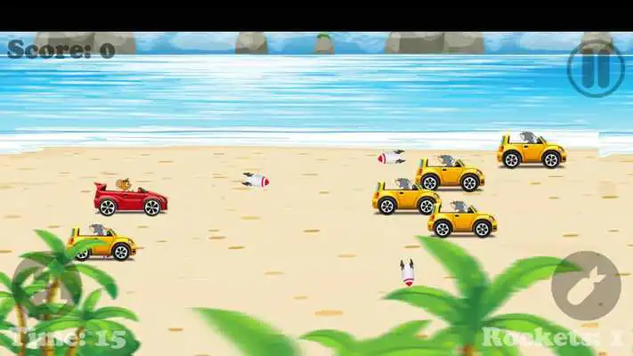 Play Beach Jerry Racing and Cat