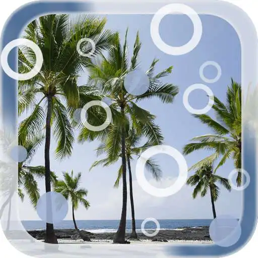 Free play online Beach Palms Live Wallpaper APK
