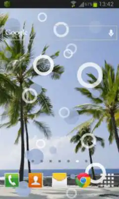 Play Beach Palms Live Wallpaper Play Beach Palms Live Wallpaper