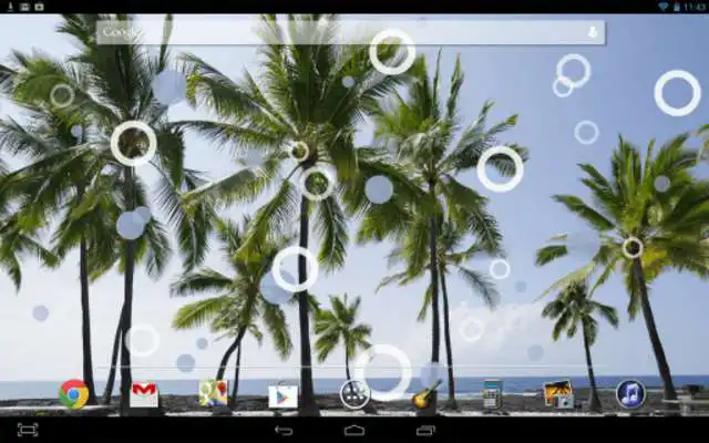 Play Beach Palms Live Wallpaper Play Beach Palms Live Wallpaper