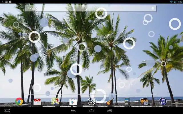 Play Beach Palms Live Wallpaper Play Beach Palms Live Wallpaper
