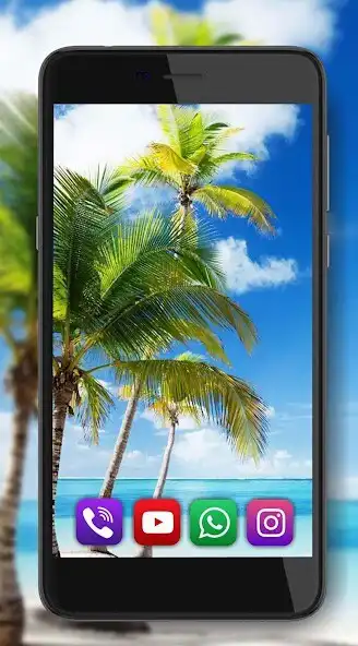 Play Beach Palm Tree as an online game Beach Palm Tree with UptoPlay