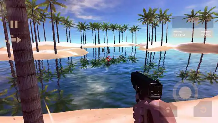 Play Beach Shooting