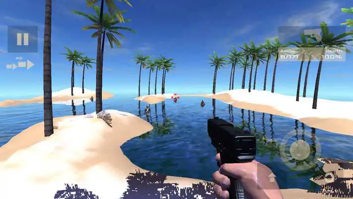 Play Beach Shooting