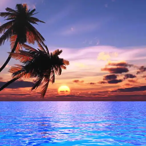 Play Beach Sunrise Sunset Wallpaper APK