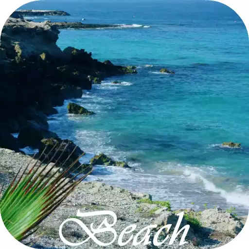 Play Beach Video Live Wallpaper APK