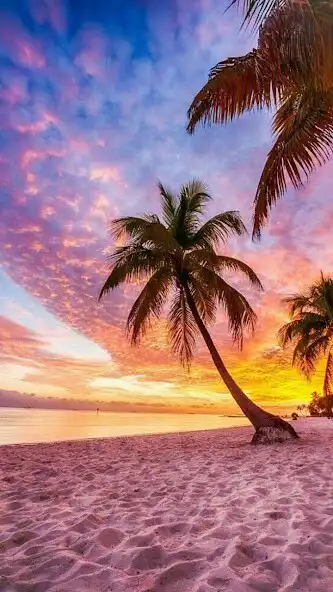 Play Beach Wallpapers HD Collection as an online game online Beach Wallpapers HD Collection with UptoPlay Play Beach Wallpapers HD Collection as an online game Beach Wallpapers HD Collection with UptoPlay