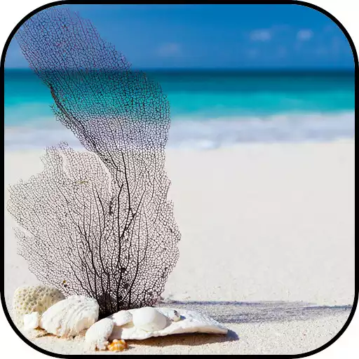 Play Beach Wallpapers APK Play Beach Wallpapers APK