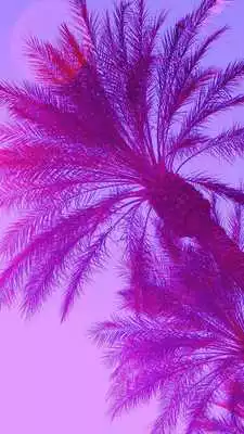Play Beach Wallpapers