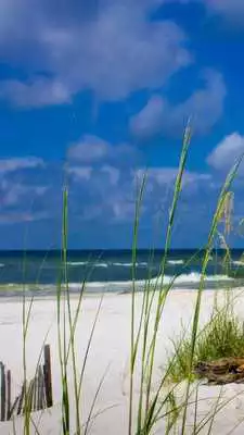 Play Beach Wallpapers