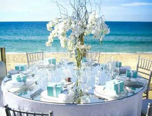 Play Beach Wedding Reception