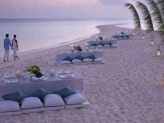 Play Beach Wedding Reception